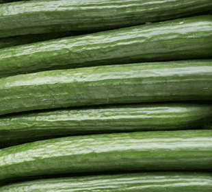 cucumber